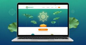 Hosting Minisito PRO