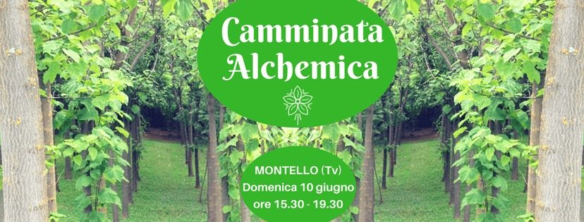 Camminata Alchemica
