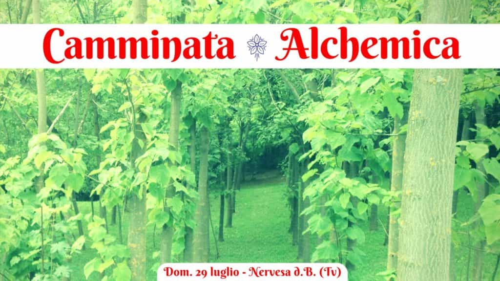Camminata Alchemica - Montello (Tv)
