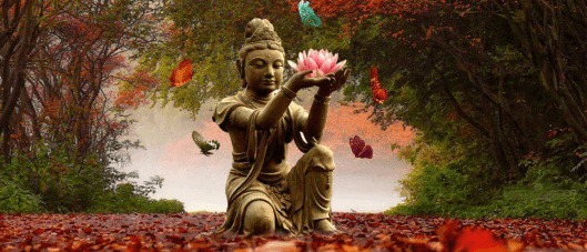 il Risveglio Interiore