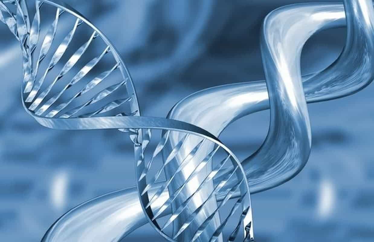 Presentazione: I 12 STRATI DEL DNA