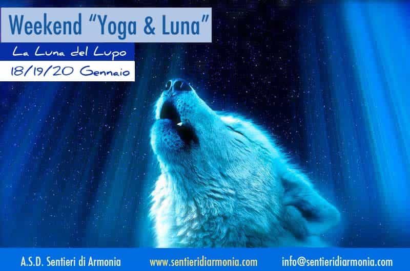 Yoga in ascolto dei ritmi della natura