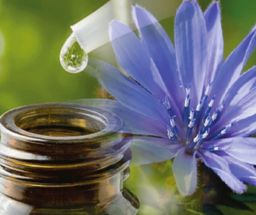 Fiori di Bach e crescita personale