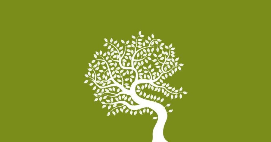 LUMEN Scuola di Naturopatia