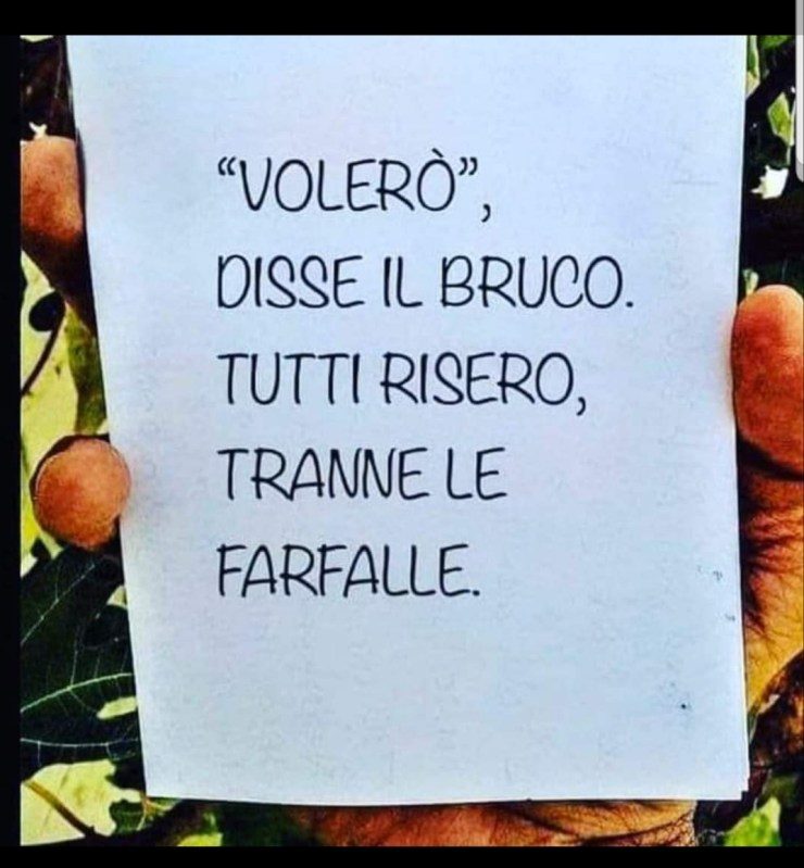 Corso istruttori Discipline Bioenergetiche