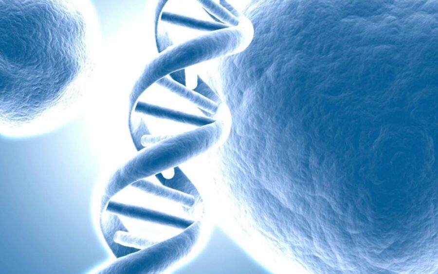 Workshop: i 12 strati del DNA