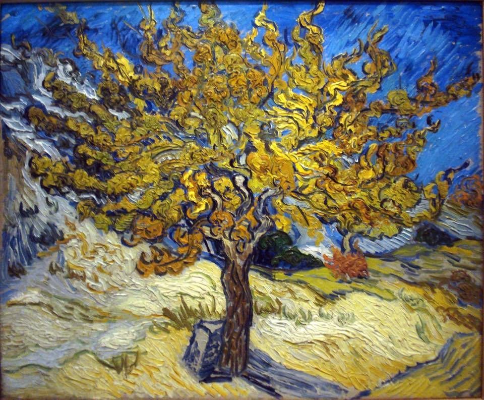 Costellazioni Familiari e Fiori di Bach