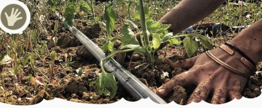 Laboratorio di agricoltura biodinamica