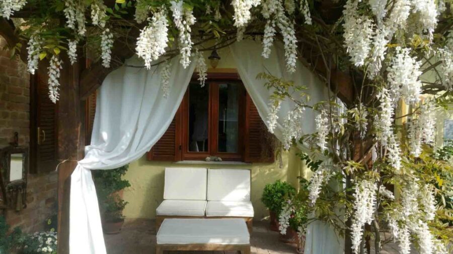 B&B & Meditation Center Zorba Il Buddha - Passerano Marmorito (AT)