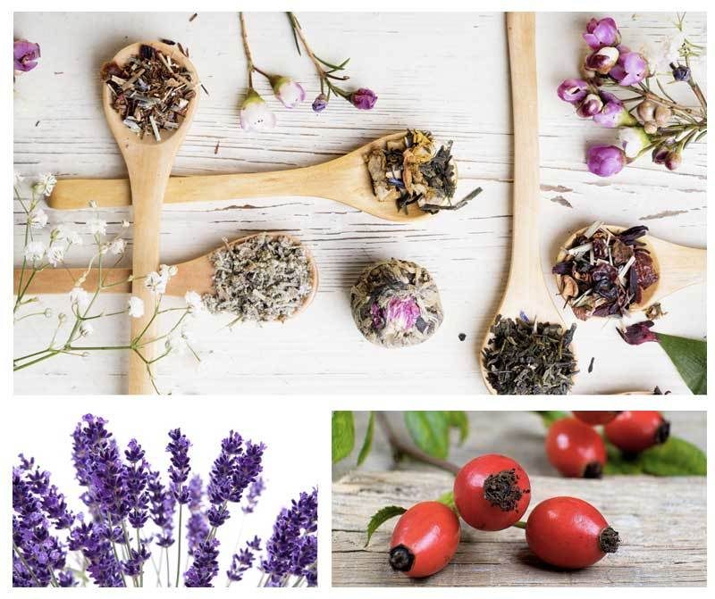 Corso di Aromaterapia