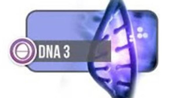 Corso Thetahealing® DNA3