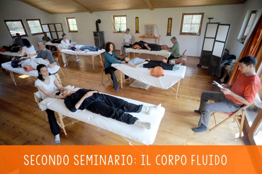 Formazione Biodinamica Craniosacrale