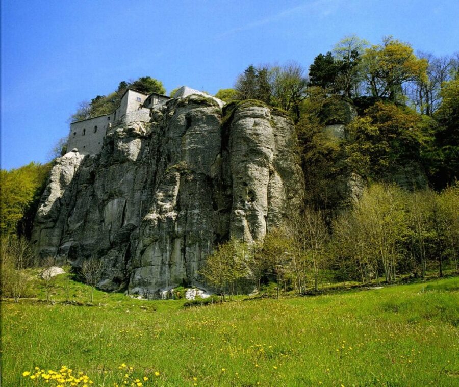 Ritiro Yoga e Natura