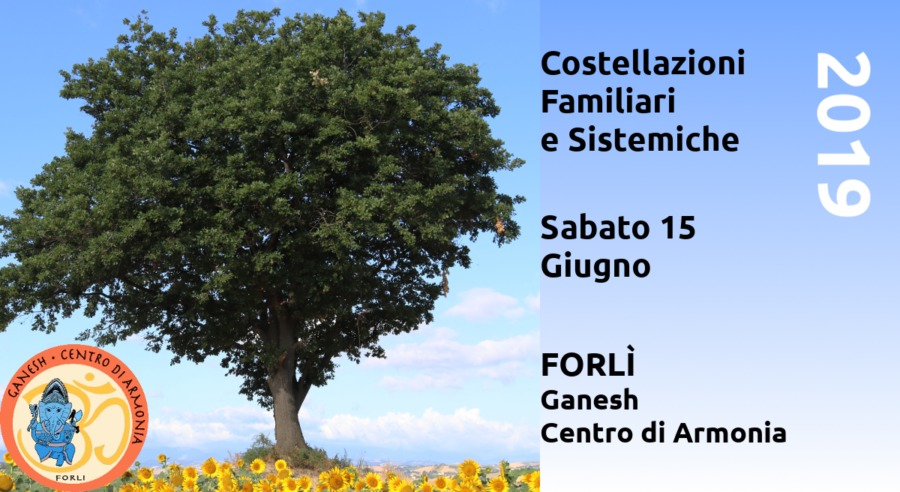 Costellazioni Familiari e Sistemiche