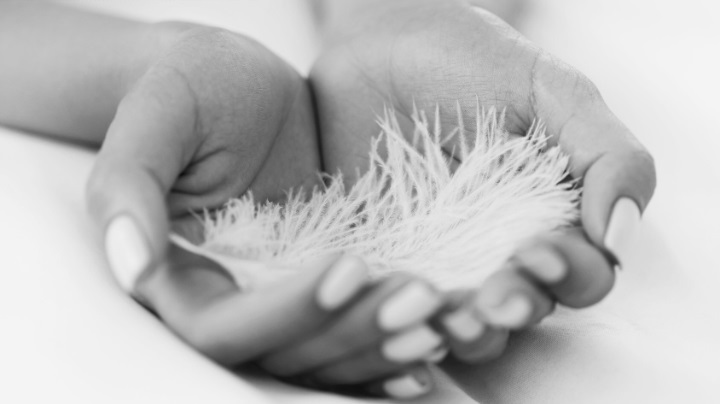 Incontra i tuoi Angeli