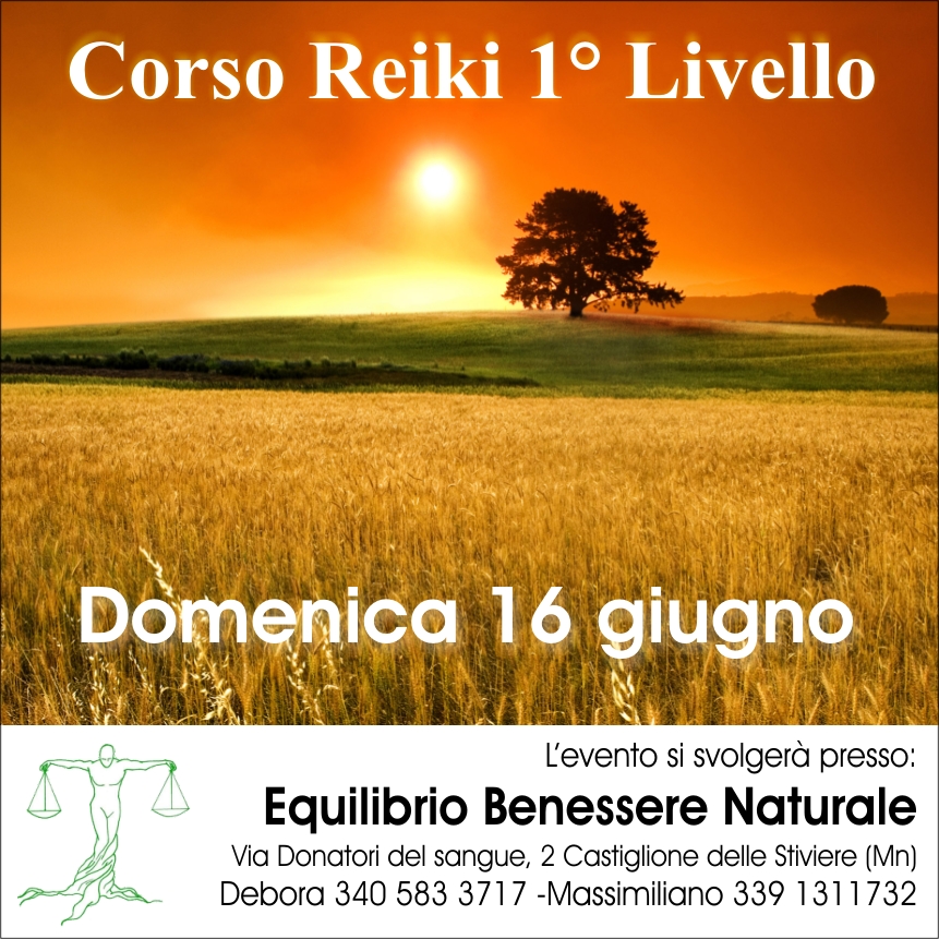 Reiki Corso I livello