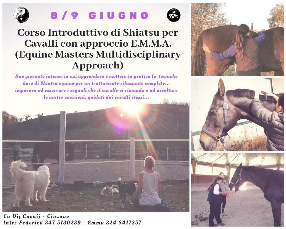 Corso di Shiatsu per Cavalli