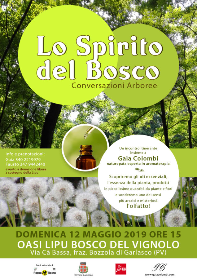 Lo Spirito del Bosco