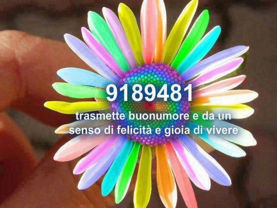 Workshop: Pilotaggio della Realtà e Sviluppo Armonico