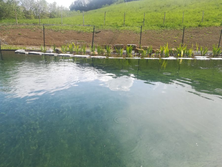 Weekend di Acqua e di Luna