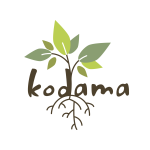 Kodama studio olistico