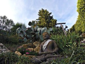 Podere Morellini - Scansano