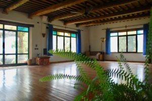 Podere Morellini - Scansano