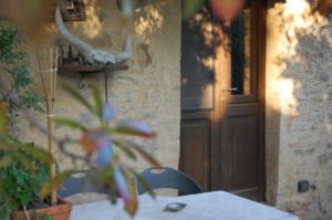 Podere Morellini - Scansano