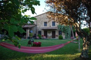 Podere Morellini - Scansano