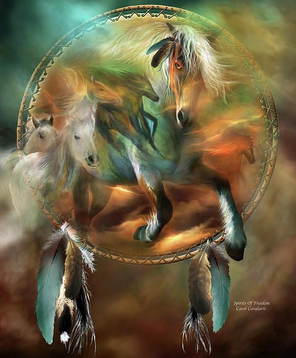 Alla ricerca dell'animale di potere