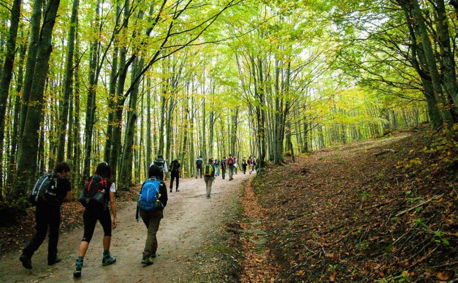 Yoga trek: ritiro ashtanga yoga