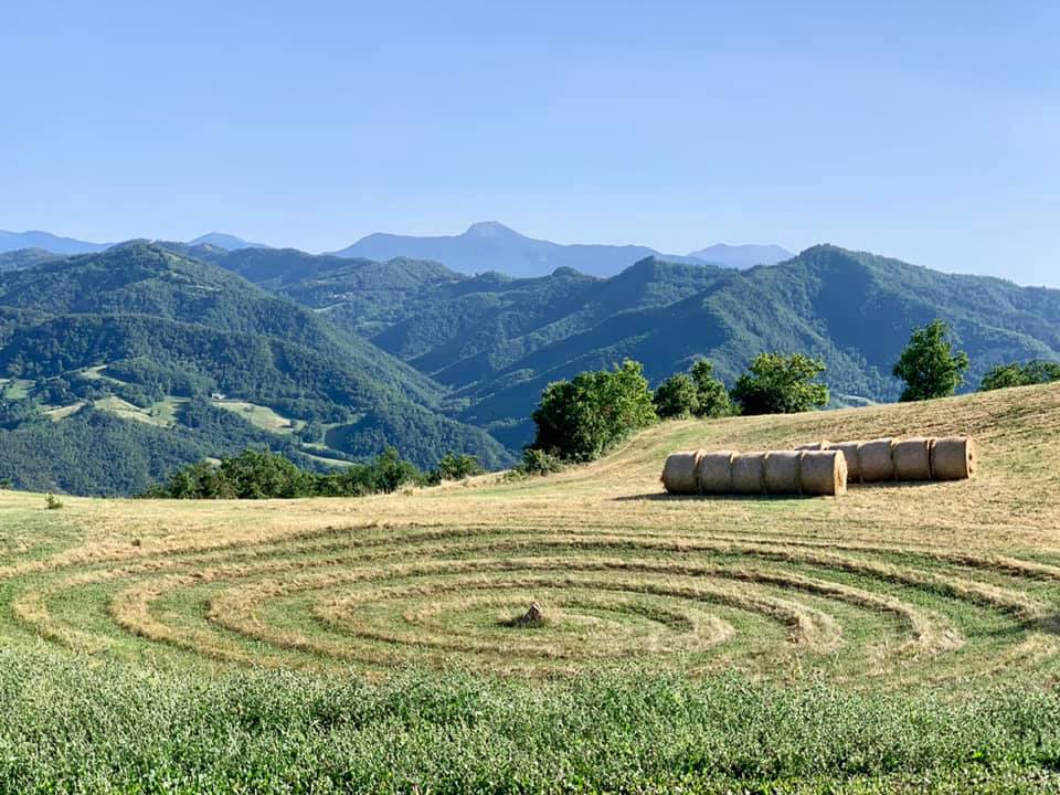 Yoga nel Suono: vacanza yoga
