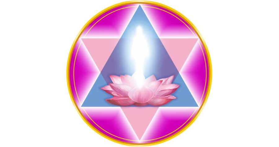 Studio di Terapie Naturali Milva Alpi - Faenza