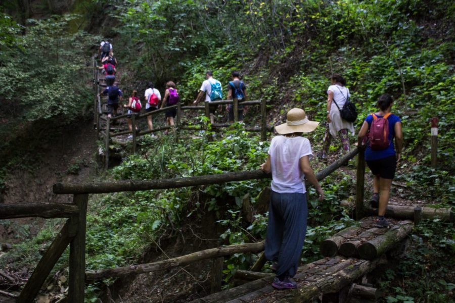 Yoga trek: ritiro ashtanga yoga in cammino