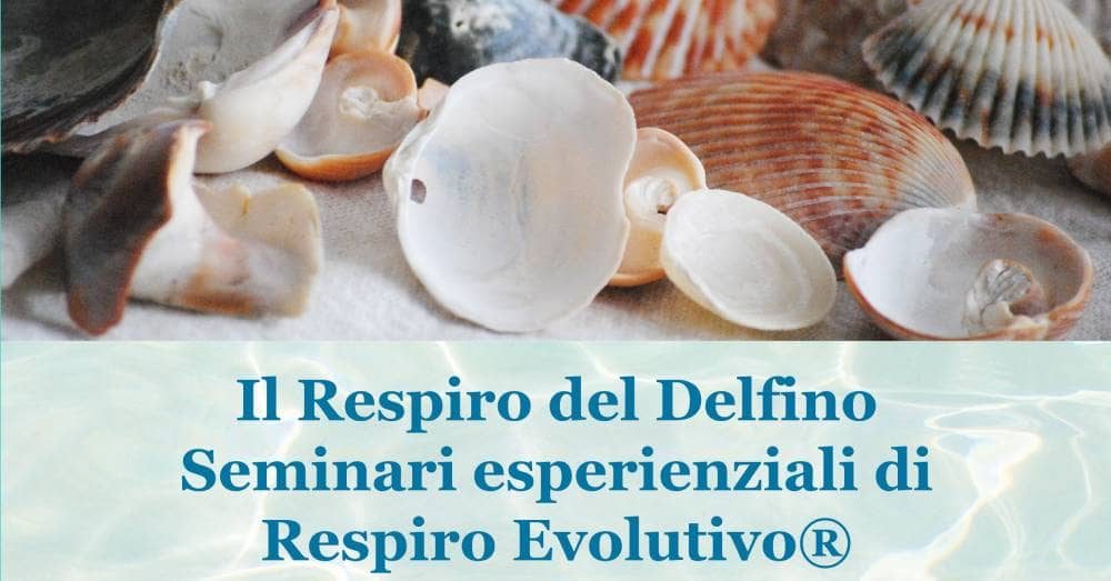 Il Respiro del Delfino