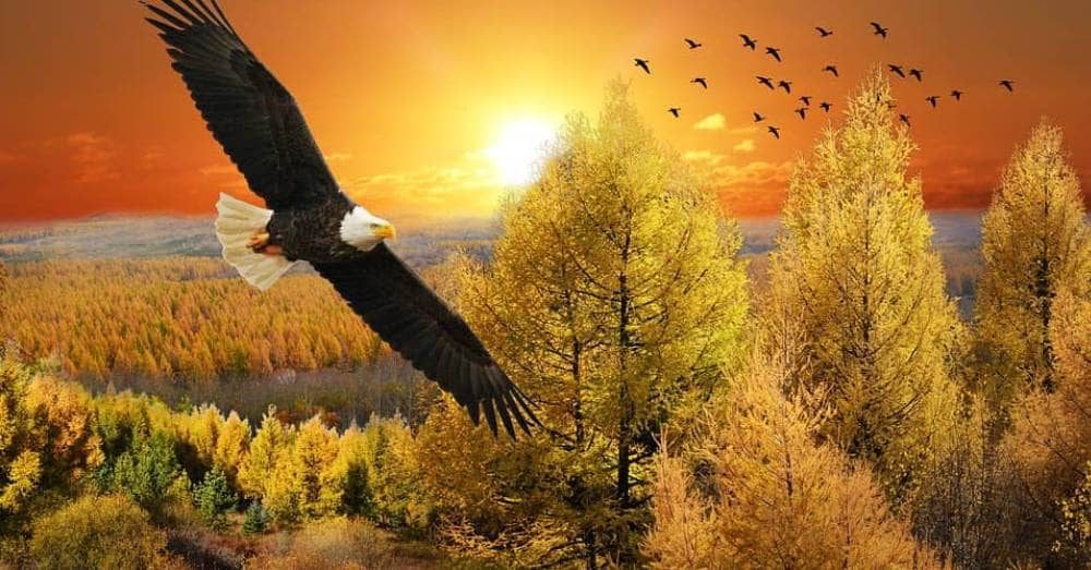 Viaggio verso la libertà