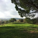 Centro Meditazione Il Risveglio - Scansano (GR)