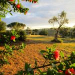 Centro Meditazione Il Risveglio - Scansano (GR)