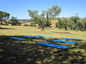 Centro Meditazione Il Risveglio - Scansano (GR)