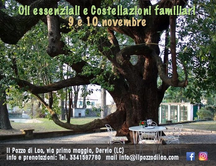 Oli essenziali e Costellazioni Familiari