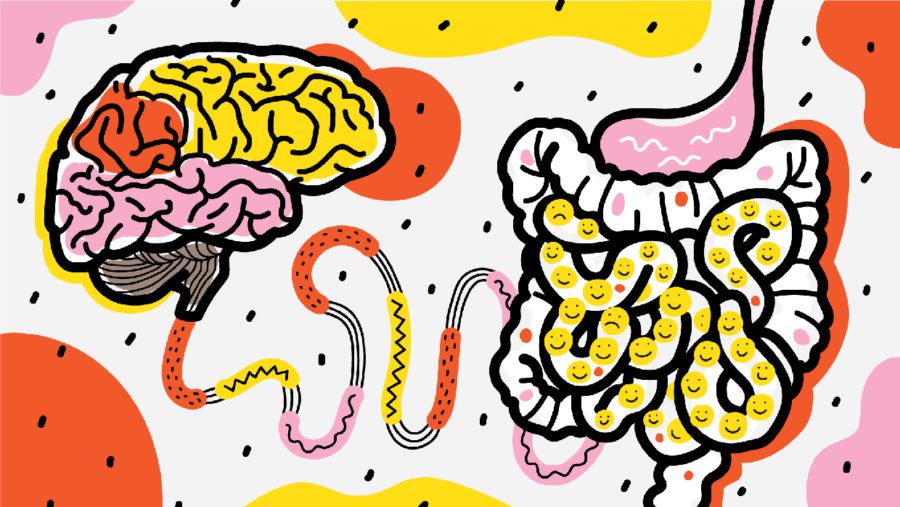 Intestino felice, corpo sano e mente equilibrata