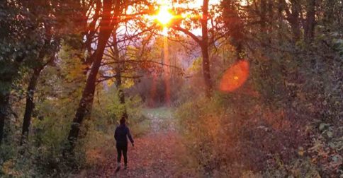 Percorso Shinrin-Yoku: Il Bagno Di Foresta