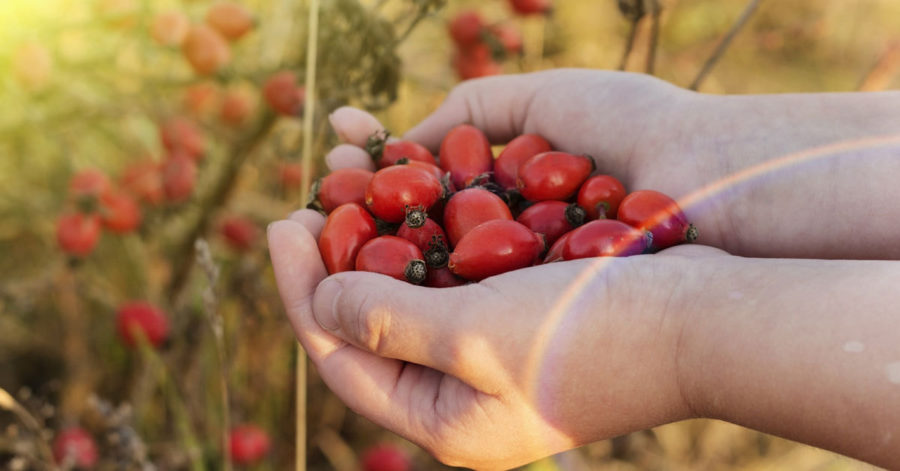 "NaturYoga" in montagna