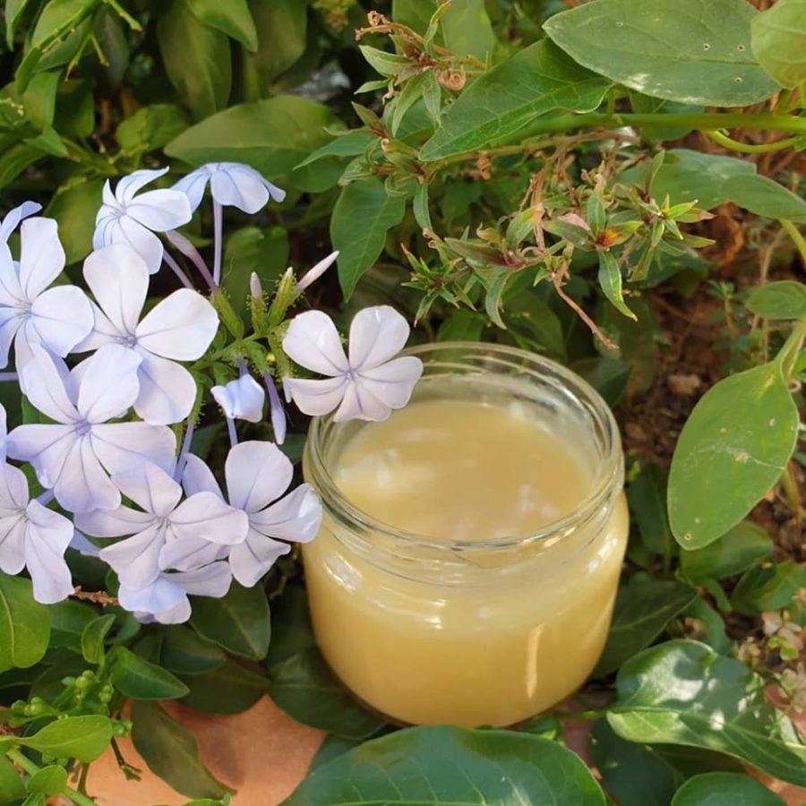 Corso erboristeria biofila