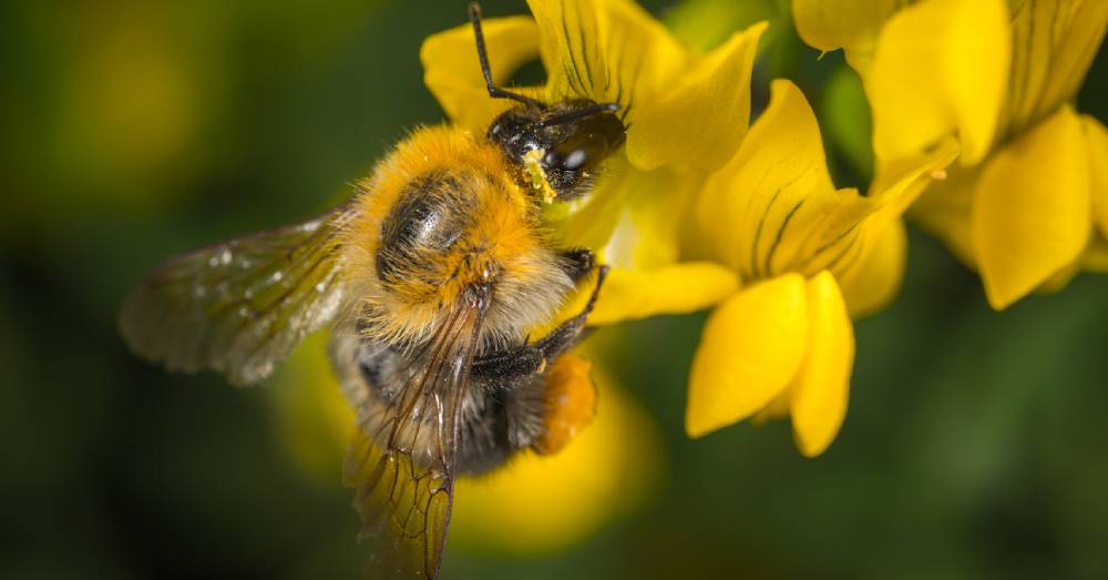Cosmesi fresca - Incontro con Adriana