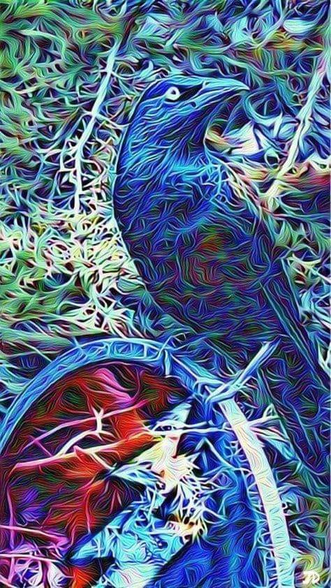 Ascolta il tuo corpo - Libera il Sognatore