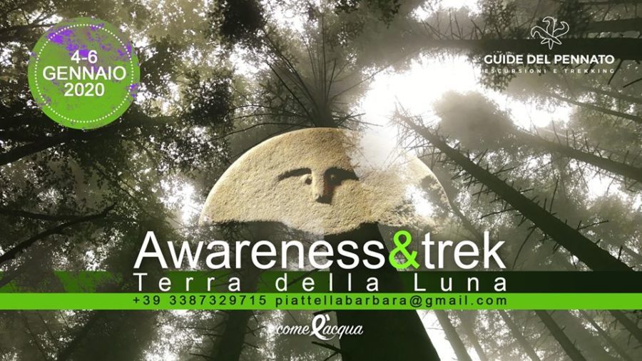 Awareness&Trek