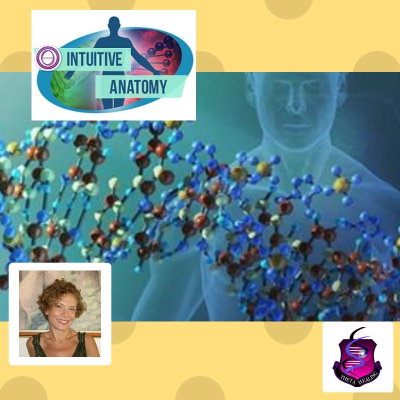 Corso di ThetaHealing@ Anatomia Intuitiva