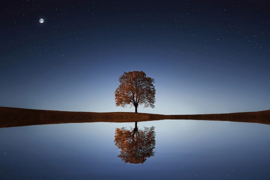Dal Fare all’Essere: Presenza nella Quiete