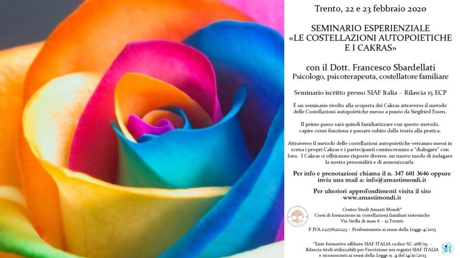 Seminario di Costellazioni autopoietiche